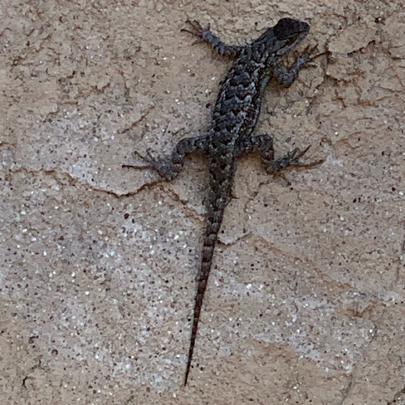 POP IN CHECK IT - Picture 14 of 16